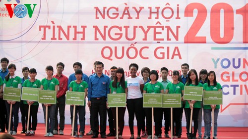 Sôi động Ngày hội Tình nguyện Quốc gia năm 2013  - ảnh 5